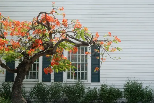 The Importance Of Proper Installation For Long-lasting Siding in Doraville GA The Importance Of Proper Installation For Long-lasting Siding in Doraville GA